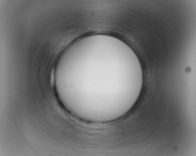X0000111130028200906301116