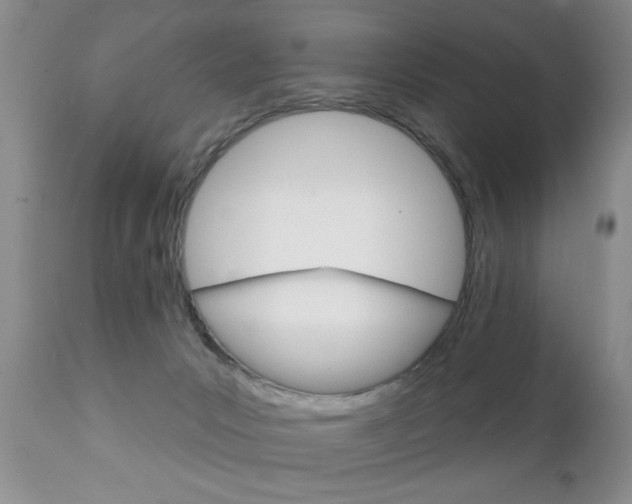 X0000111130031200906301116