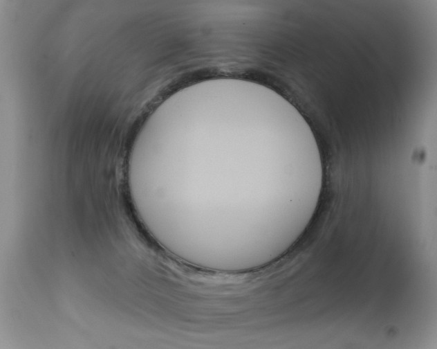 X0000111130032200906301116