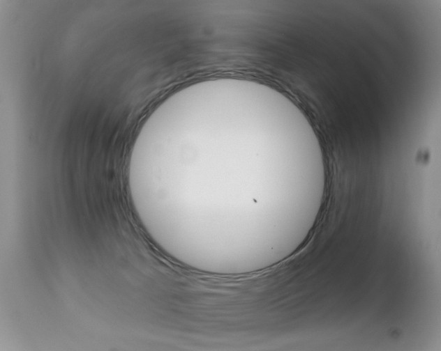 X0000111130033200906301116