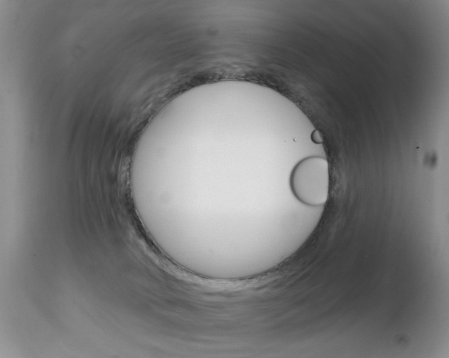 X0000111130034200906301116