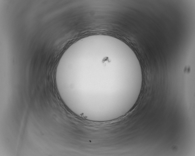 X0000111130037200906301115