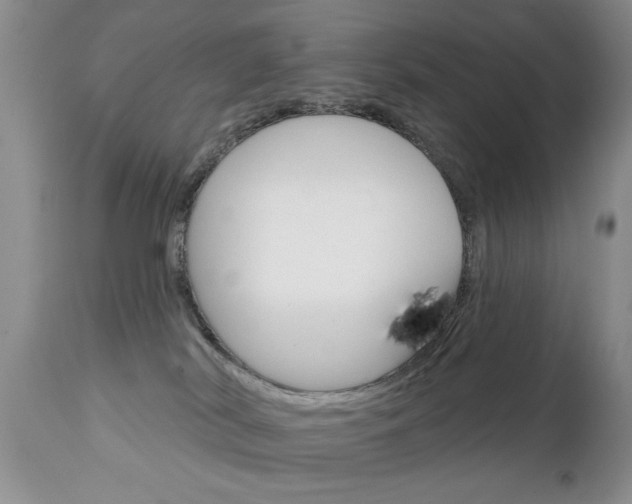 X0000111130038200906301115