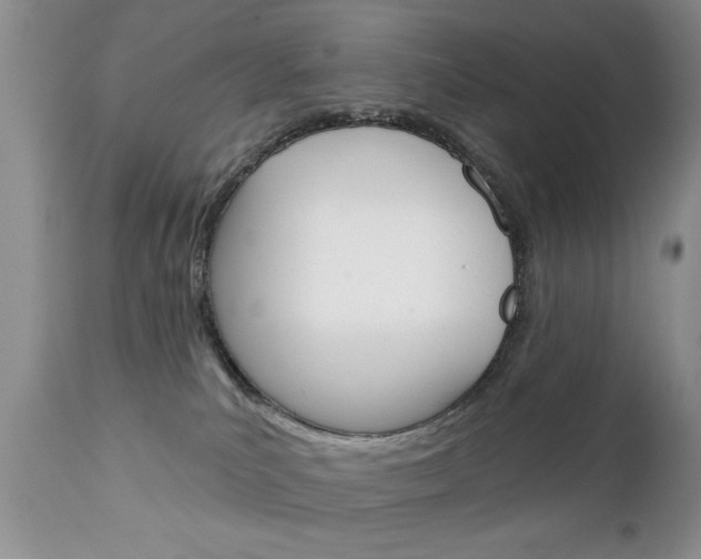 X0000111130039200906301115