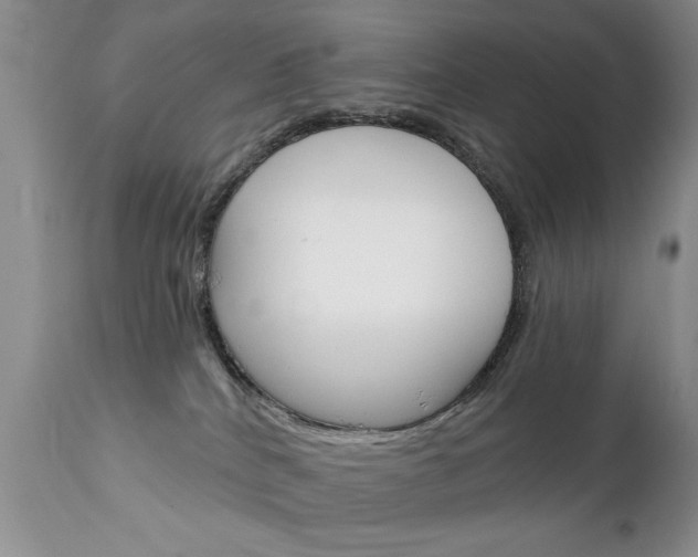 X0000111130040200906301115