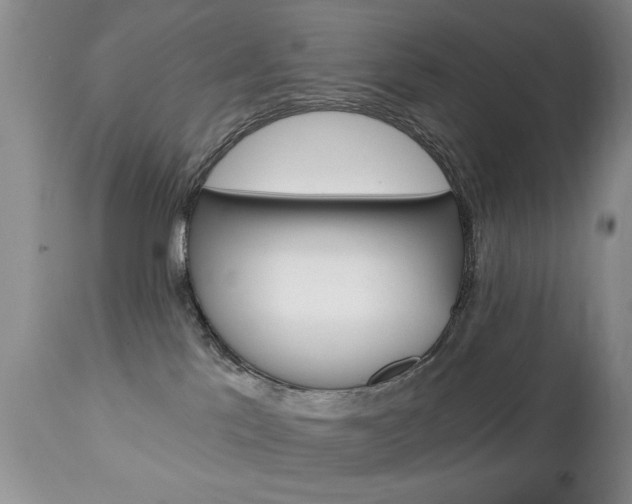 X0000111130041200906301115