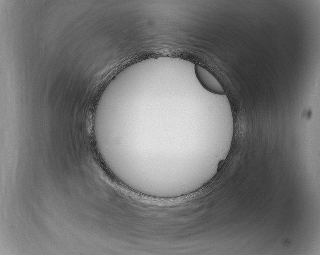 X0000111130043200906301115