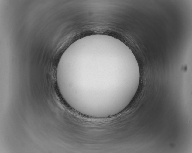 X0000111130044200906301115