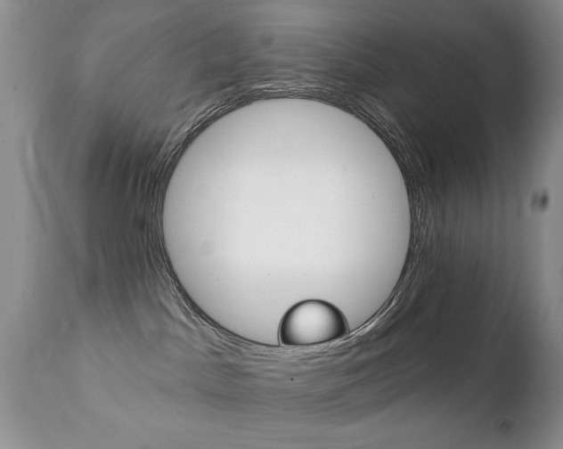 X0000111130045200906301115