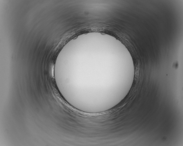 X0000111130046200906301115