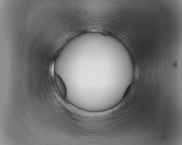 X0000111130047200906301115