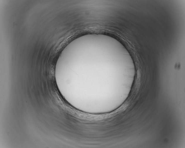 X0000111130048200906301115