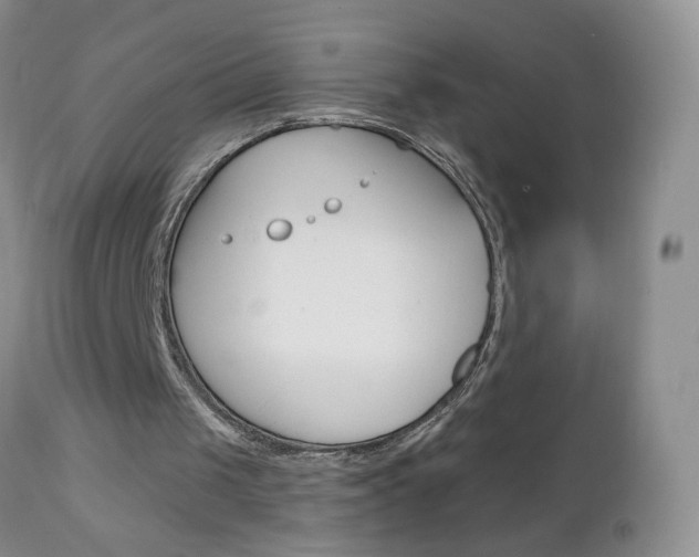 X0000111130049200906301115