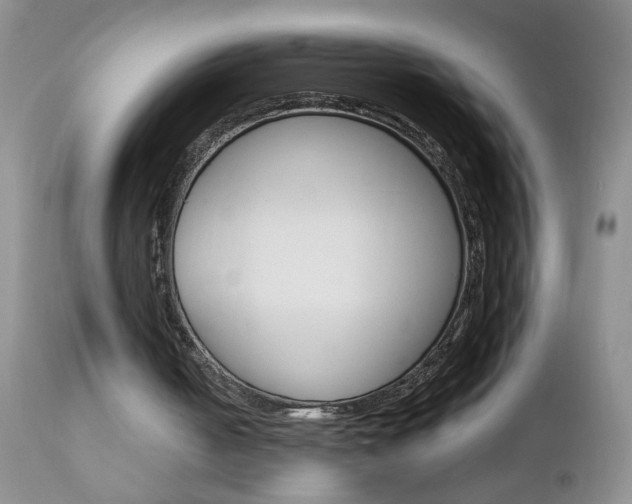 X0000111130050200906301115