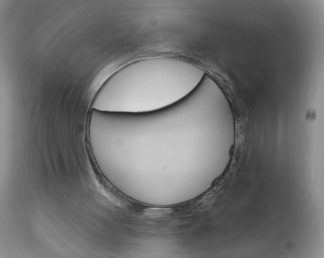 X0000111130051200906301115