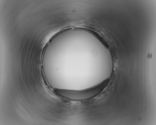 X0000111130052200906301115