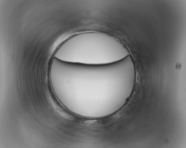 X0000111130054200906301115