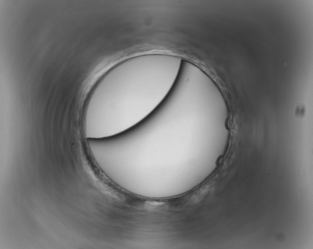X0000111130055200906301115