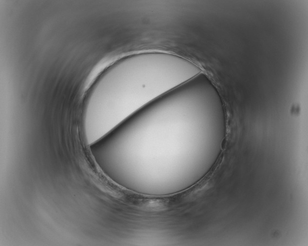 X0000111130056200906301115