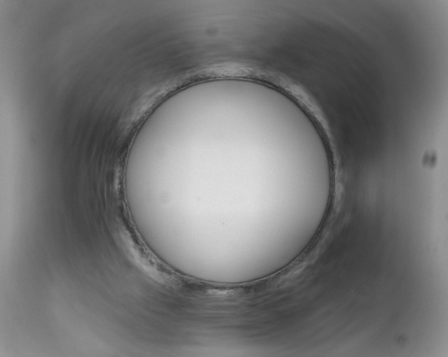X0000111130057200906301115