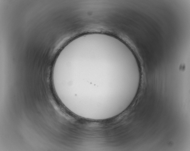 X0000111130058200906301115