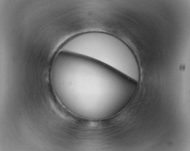 X0000111130060200906301115