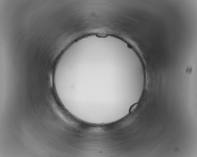 X0000111130061200906301115