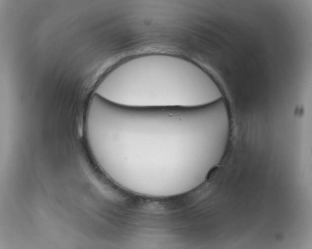 X0000111130062200906301115