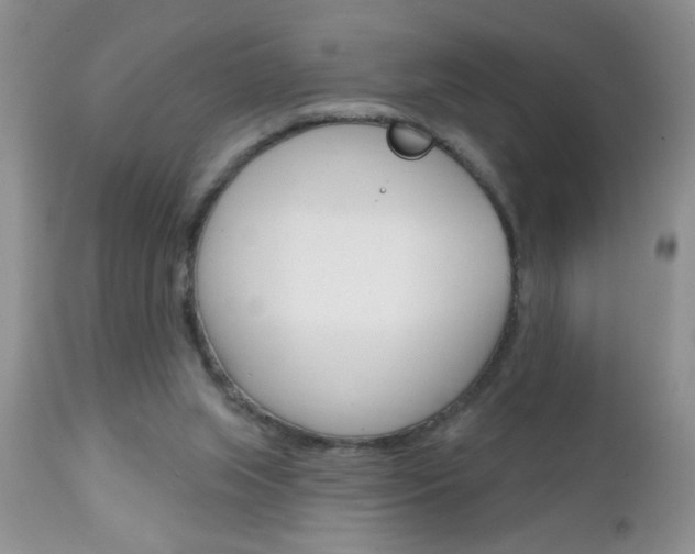 X0000111130063200906301115