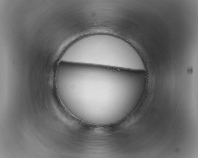 X0000111130064200906301115