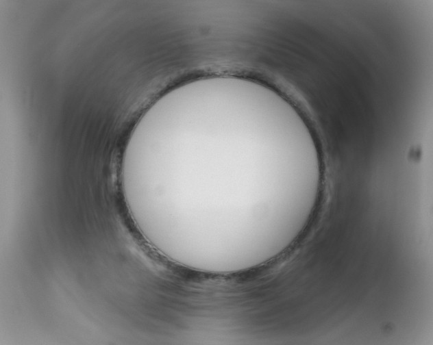 X0000111130065200906301115