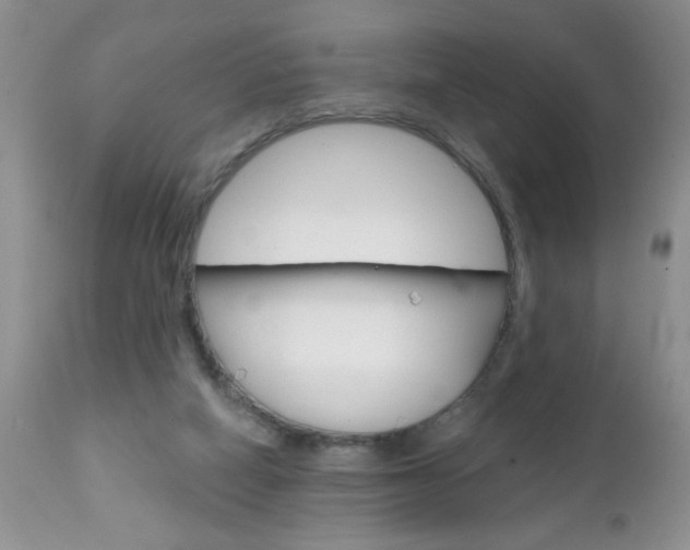 X0000111130066200906301115