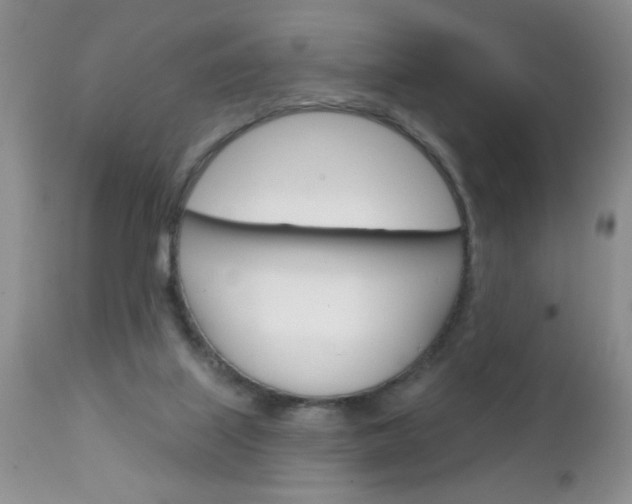 X0000111130067200906301115