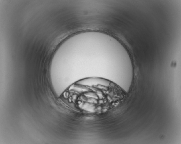 X0000111130068200906301115