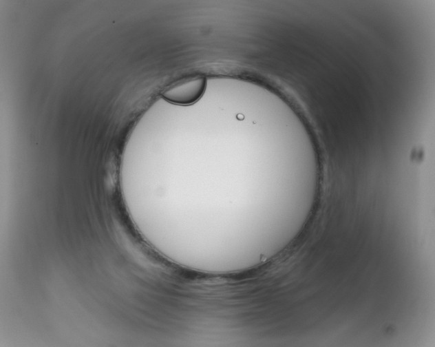 X0000111130069200906301115