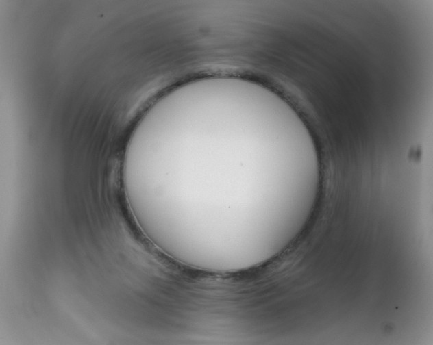 X0000111130071200906301115