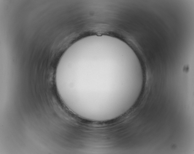 X0000111130073200906301115