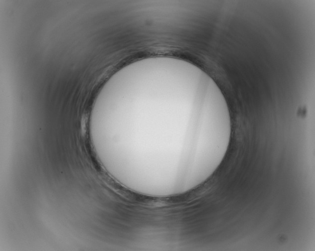 X0000111130075200906301115