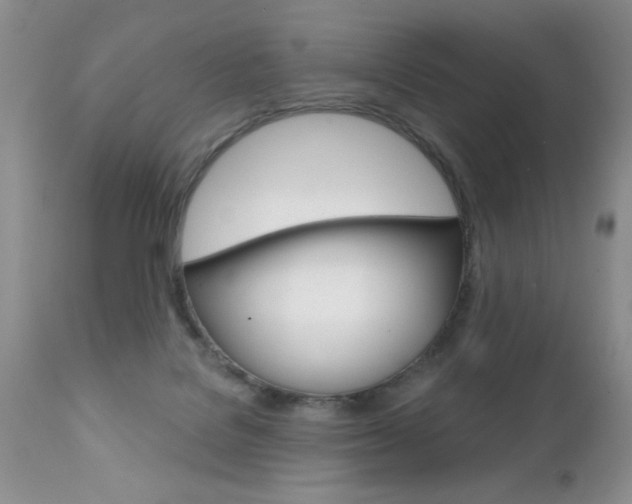 X0000111130076200906301115