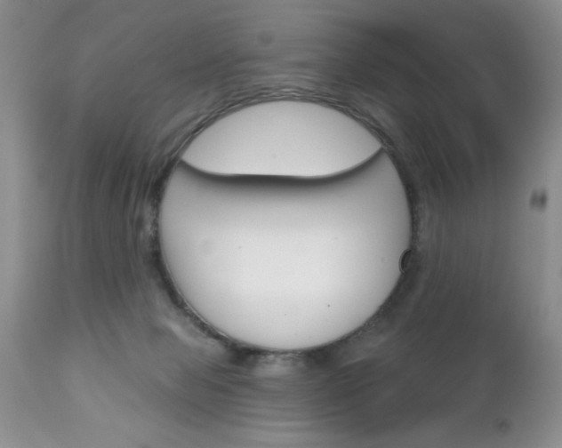 X0000111130077200906301115