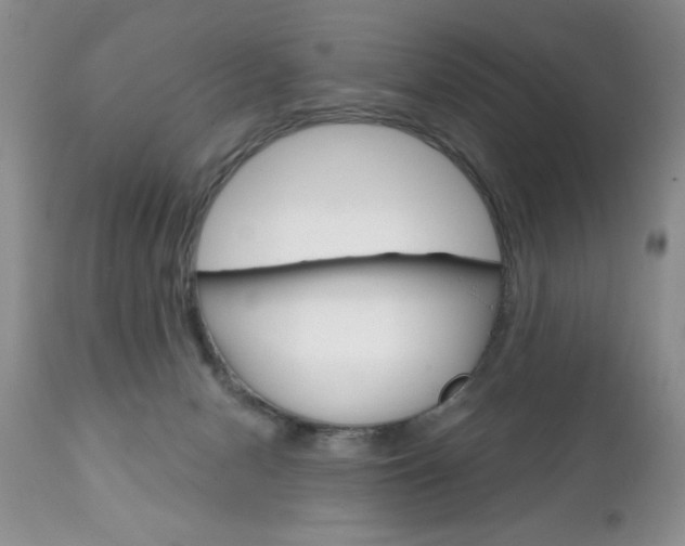 X0000111130078200906301115