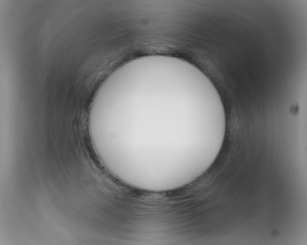 X0000111130079200906301115