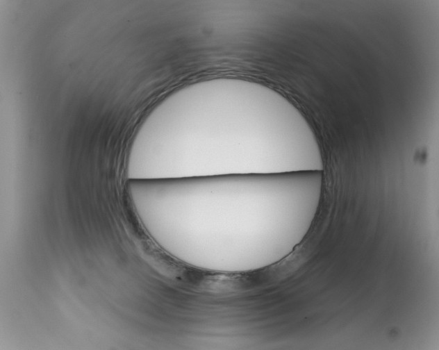 X0000111130082200906301115