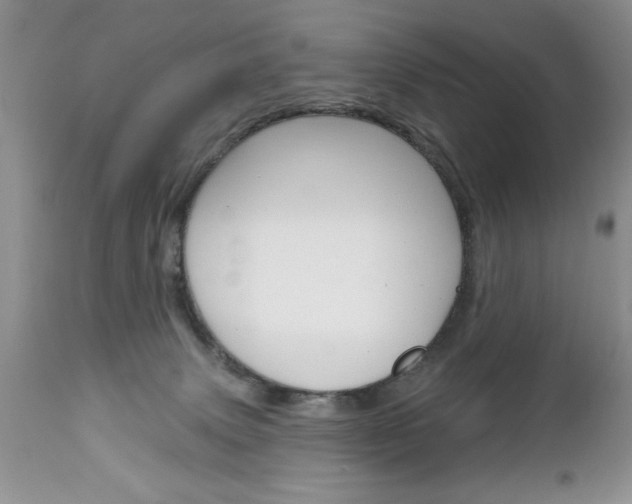 X0000111130083200906301115