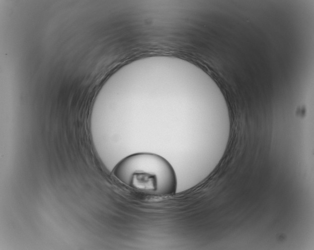 X0000111130084200906301115