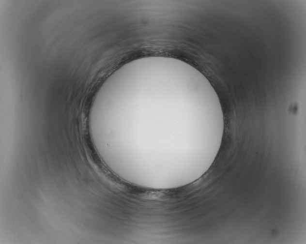 X0000111130086200906301115