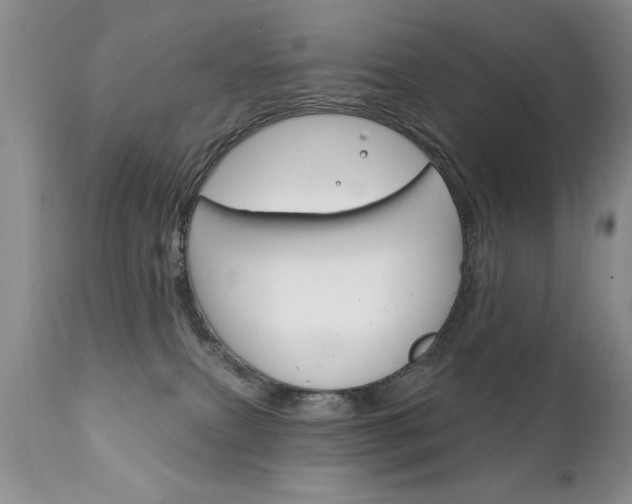 X0000111130087200906301115