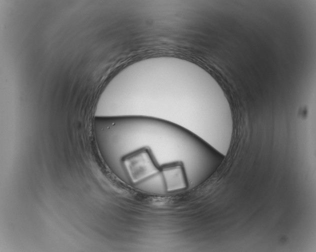 X0000111130088200906301115