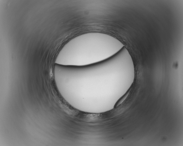 X0000111130089200906301115