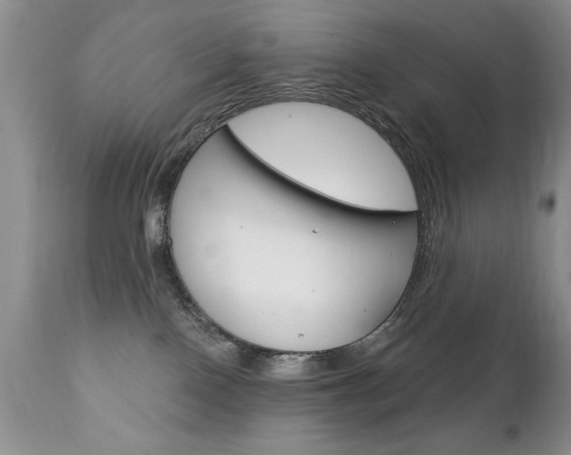 X0000111130090200906301115